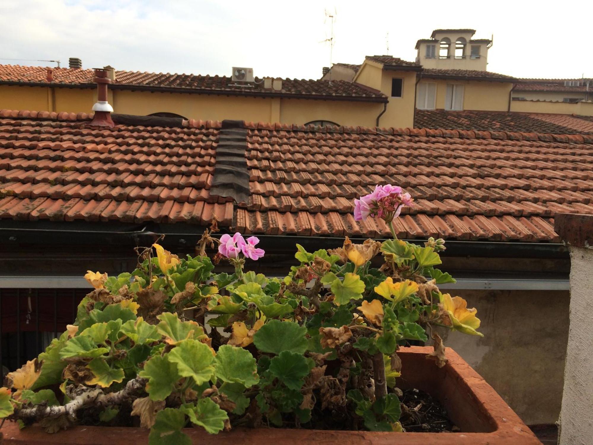 Hotel Il Bargellino Florencia Exterior foto
